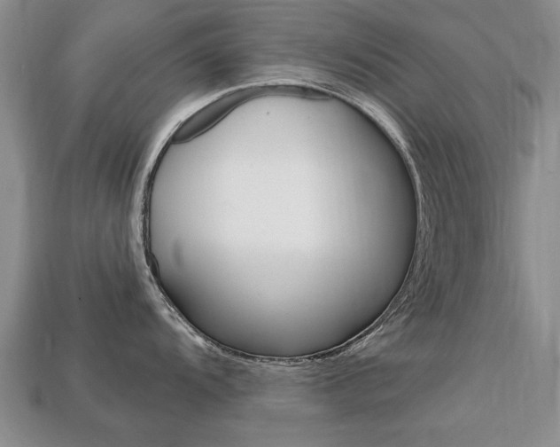 X0000113861104200909241020
