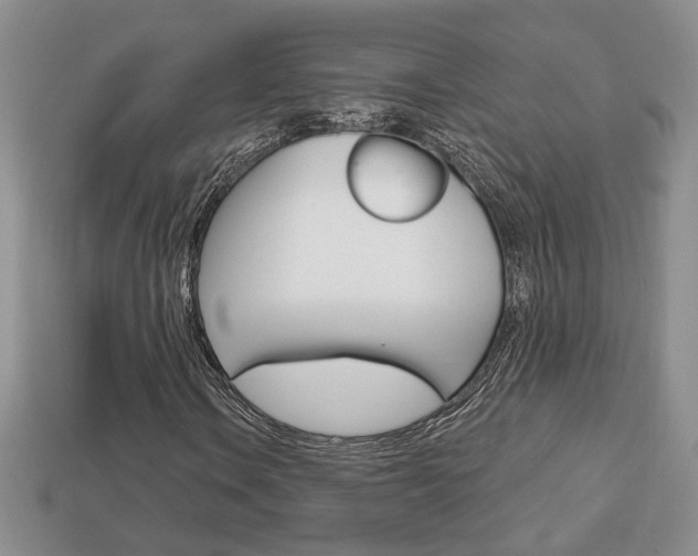 X0000113861106200909241020