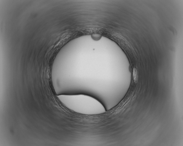 X0000113861107200909241020