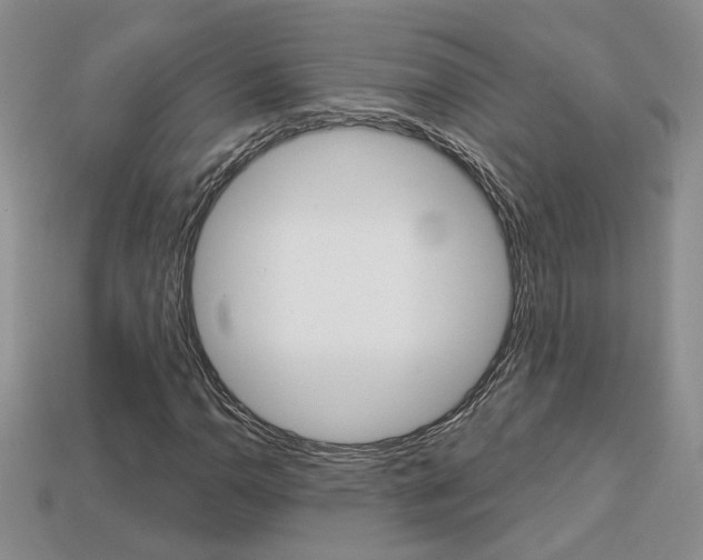 X0000113861110200909241020
