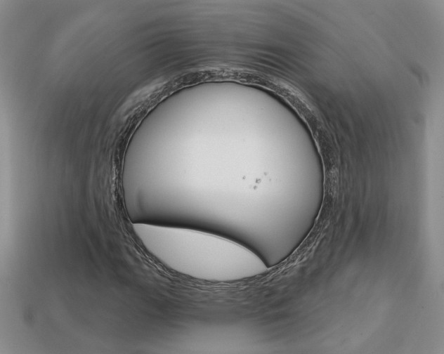 X0000113861111200909241020