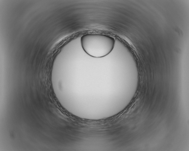 X0000113861112200909241020