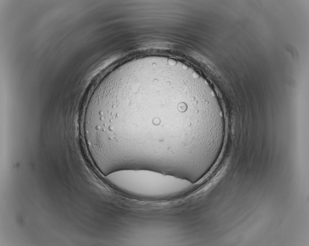X0000113861113200909241020