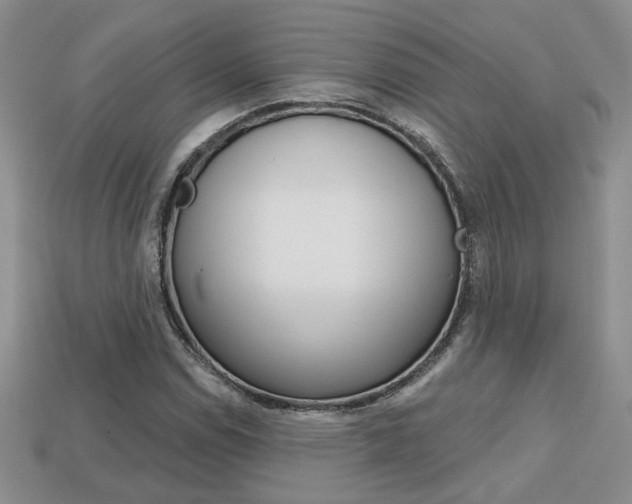 X0000113861114200909241020