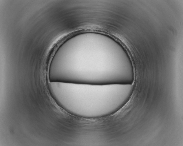 X0000113861115200909241020