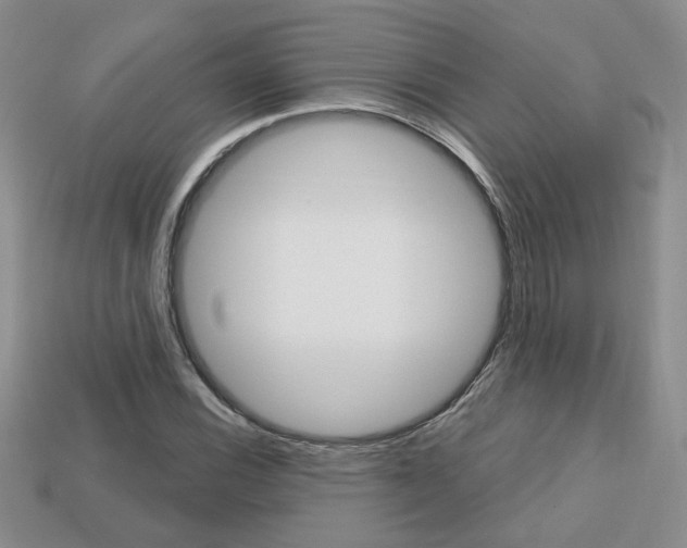 X0000113861116200909241020