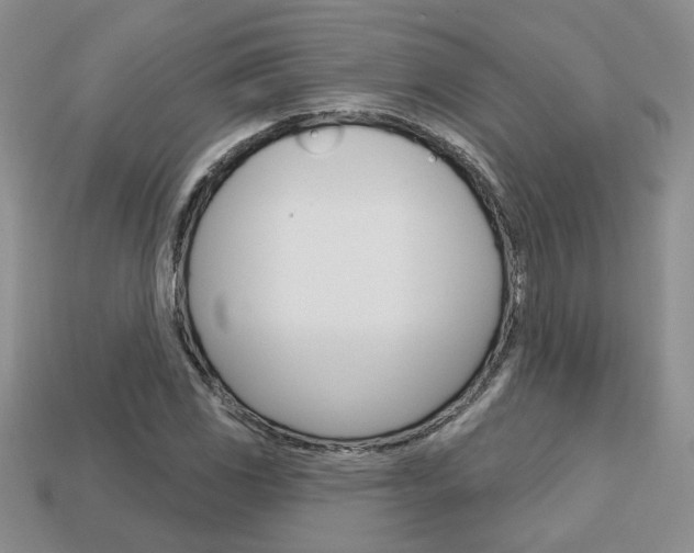 X0000113861117200909241020