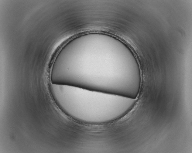 X0000113861119200909241020