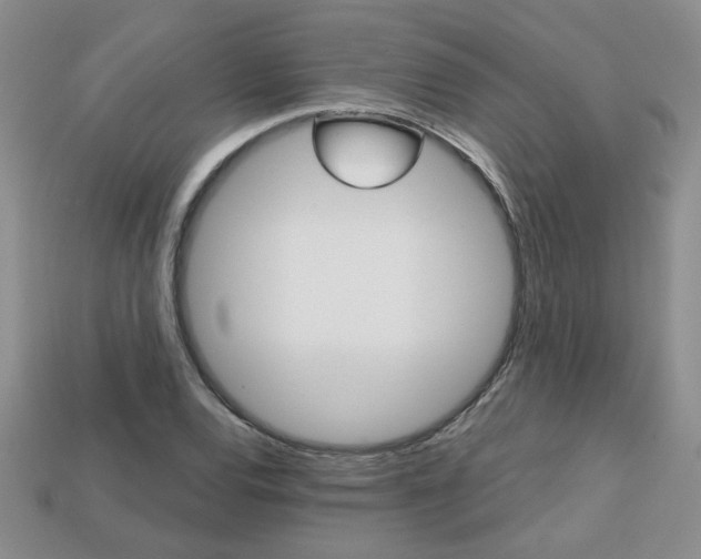 X0000113861120200909241020