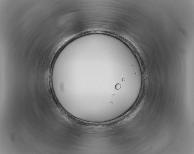 X0000113861121200909241020