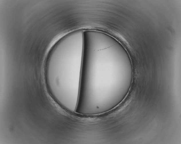 X0000113861122200909241020