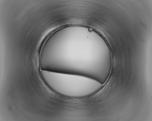 X0000113861123200909241020