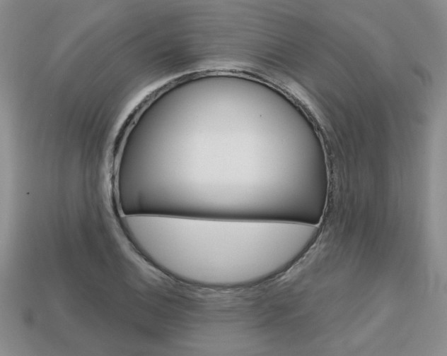 X0000113861124200909241020