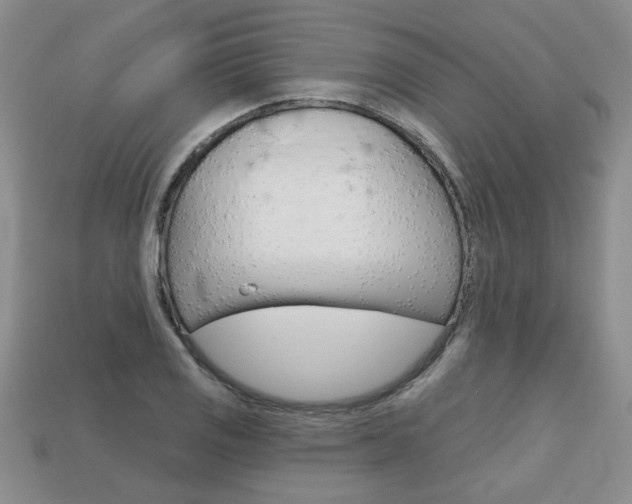X0000113861125200909241020