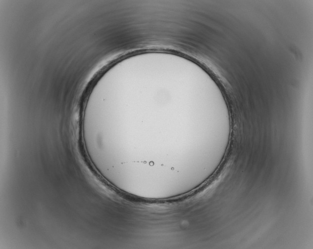 X0000113861126200909241020