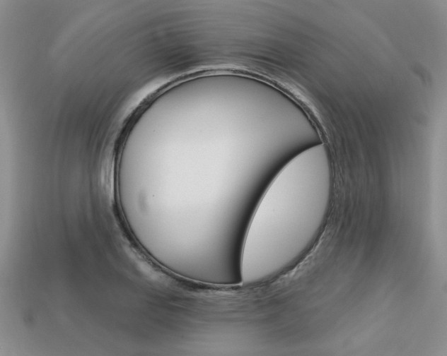 X0000113861127200909241020