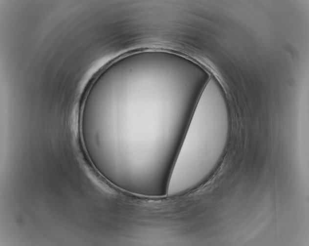 X0000113861128200909241020