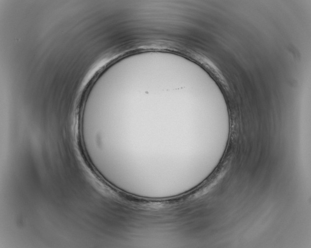 X0000113861130200909241020