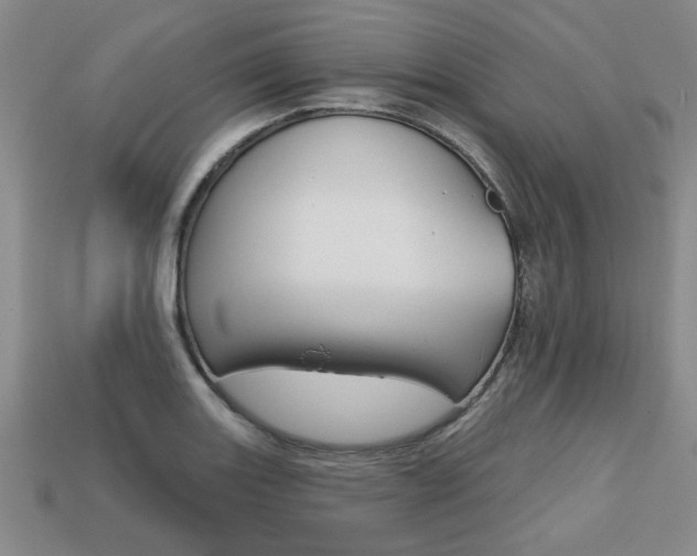 X0000113861131200909241020