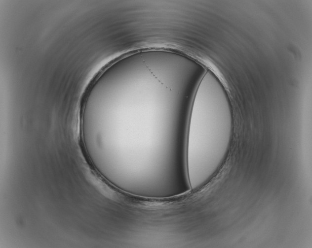 X0000113861132200909241020