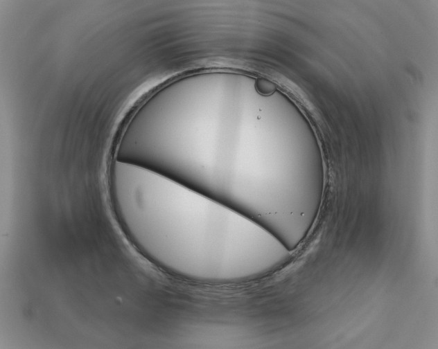X0000113861133200909241020