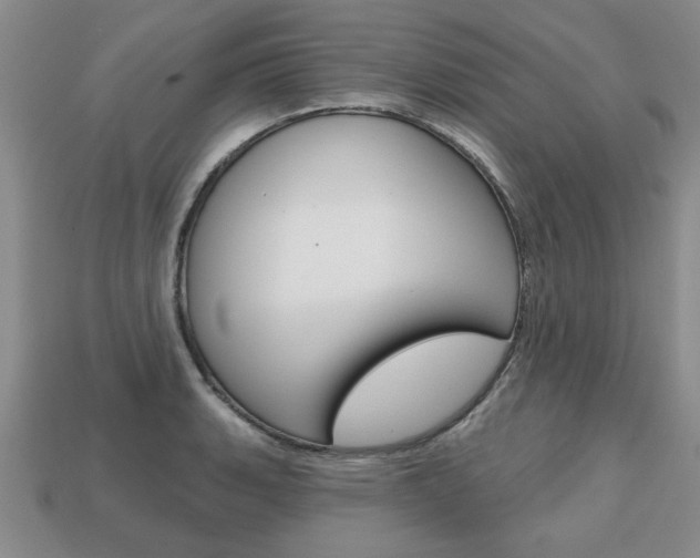 X0000113861135200909241020