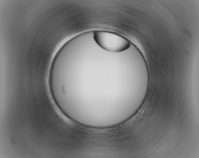 X0000113861136200909241020