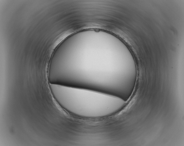 X0000113861137200909241020