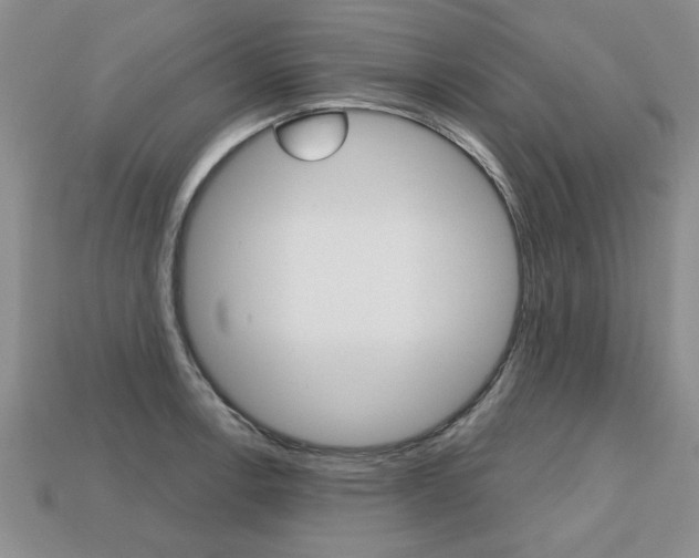 X0000113861138200909241020