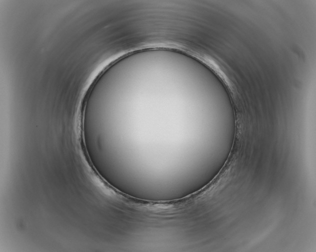 X0000113861140200909241020