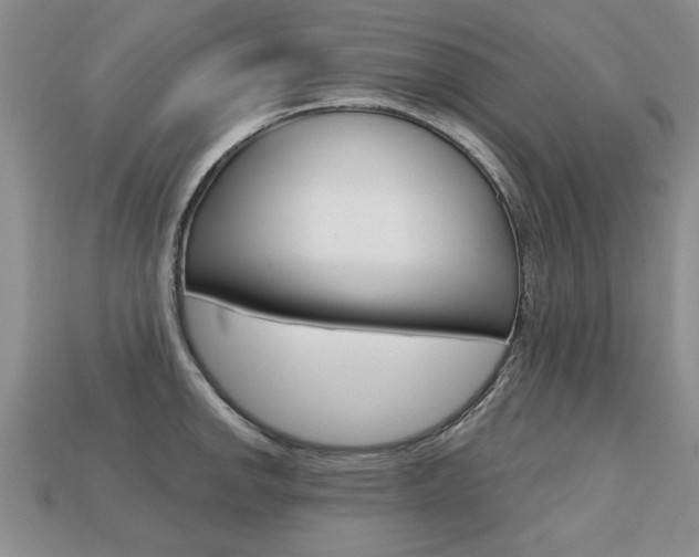 X0000113861142200909241020
