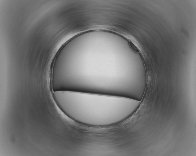 X0000113861143200909241020