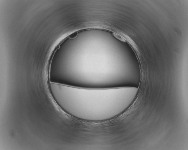 X0000113861144200909241020