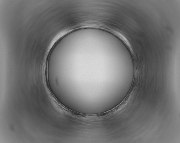 X0000113861146200909241020