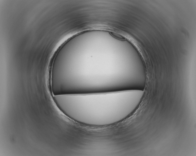 X0000113861147200909241020