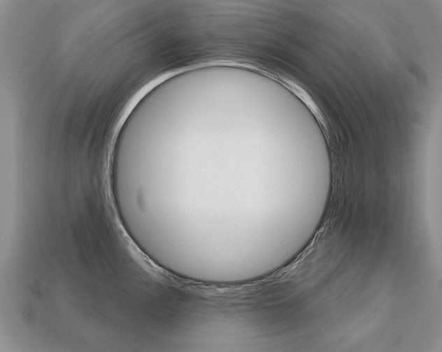 X0000113861148200909241020