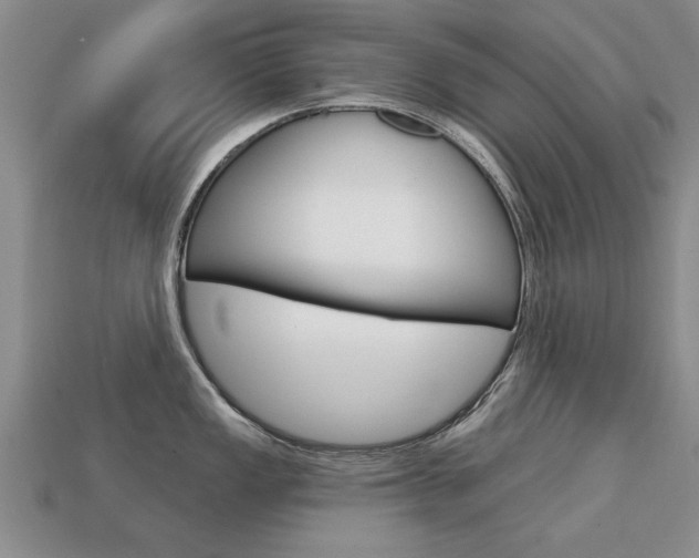 X0000113861149200909241020