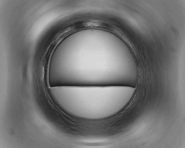 X0000113861151200909241020