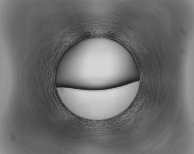 X0000113861153200909241020