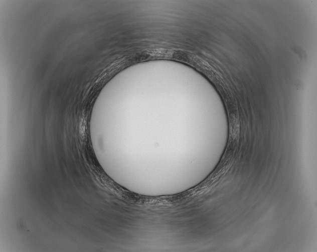 X0000113861154200909241020