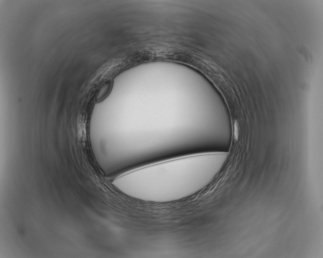 X0000113861155200909241020