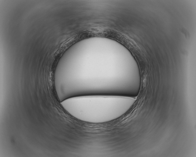 X0000113861156200909241020