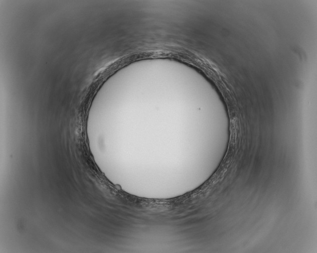X0000113861158200909241020