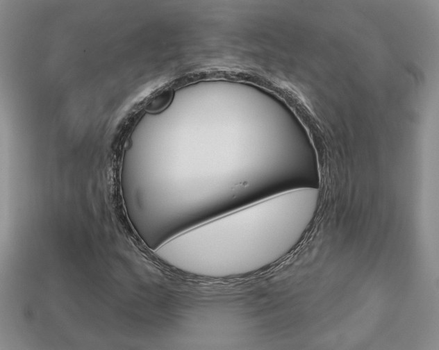 X0000113861159200909241020