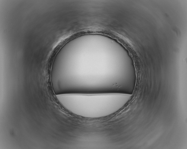 X0000113861160200909241020