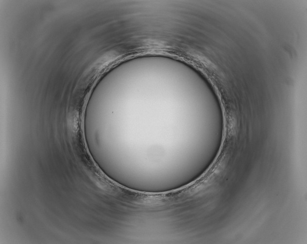 X0000113861161200909241020