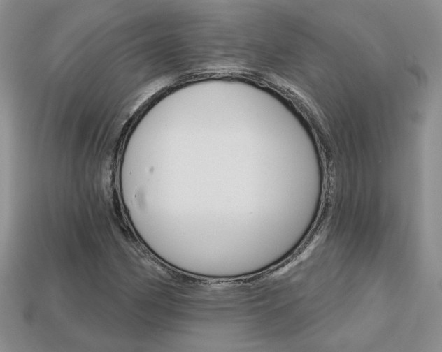 X0000113861162200909241020