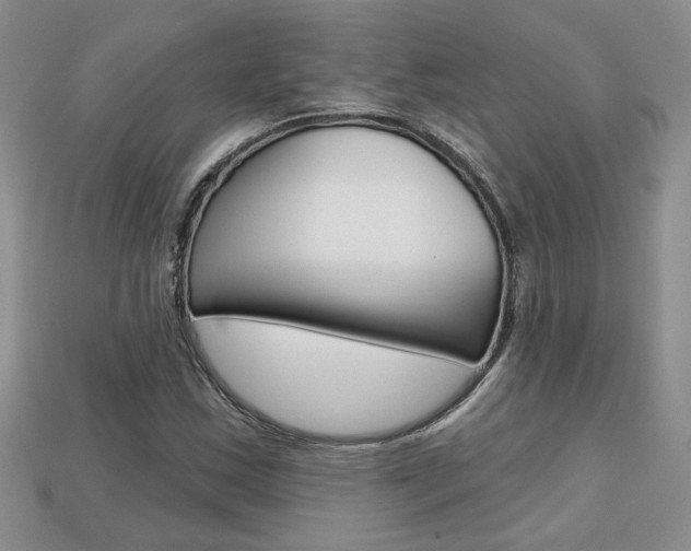 X0000113861163200909241019