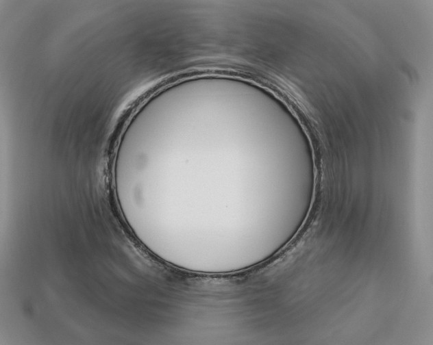 X0000113861164200909241019