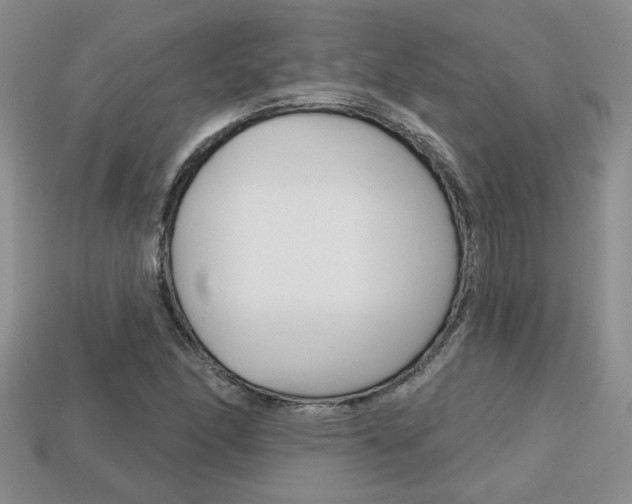 X0000113861166200909241019